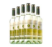 Condes de Albarei Albariño Rías Baixas 75 cl Vino blanco (Caja de 6 Botellas de 75 cl)