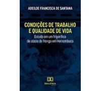 Condições De Trabalho E Qualidade De Vida (ebook)