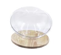 AWHAO Condominio con Cama cápsula, Centro de Actividades acrílico fácil de Limpiar para Todas Las Estaciones, Perrera con Hamaca para Gatitos y, 40CM