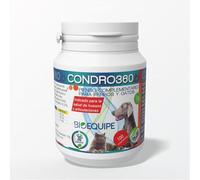 Condroprotector Perros articulaciones Suplementos Perros, Best Glucosamina Condroitina suplemento articulaciones, cartílagos y Huesos Condroprotectores dosis 6 Meses - antiflamación