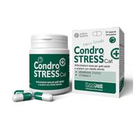 CONDROSTRESS + CAT 30 CPS