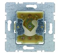 Conector 10A 250V llave en mano para cilindro Berker Arsys 382610