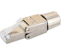 Conector de red CAT 8.1