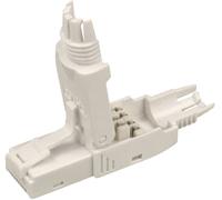 Conector de red macho RJ45 de 8 pines Cat.6A UTP Tool-Less (blanco)