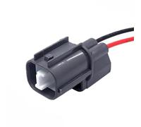 conector sensor 2P Cerradura Puerta Trasera Bocina Motor Conectores Cable Eléctrico Impermeables Coche Arnés De Cables 6181-0070 6189-0129(Male)
