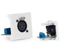 Conector XLR Hembra 3 Pin para Conexión 1 Panel - FONESTAR