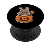 Conejito en Calabaza con Lollipop PopSockets PopGrip Adhesivo
