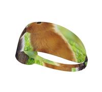 Conejo Amor Impreso,Banda Deportiva para el Sudor Unisex, Multiusos, elástica para el Pelo