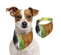 Conejo Amor Impreso,Pañuelos de algodón para Perros, Bufandas Ajustables para Mascotas,S