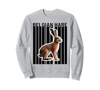Conejo belga liebre amantes lindo conejito Sudadera