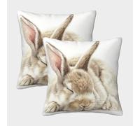 Conejo bonito durmiendo, ilustración realista de animal Funda De Almohada Impresa 3D Para Niños, Transpirable Y Lavable A Máquina, Protege Tu Almohada Para Dormir Y Decorar El Dormitorio 50x50cm