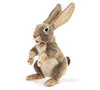 Conejo de Campo/Jack Rabbit 3200