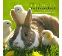 Conejos Calendario 2012 - Rabbit 2012 Calendar