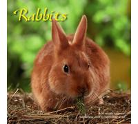 Conejos - Calendario 2013