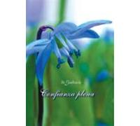 Confianza Plena (ebook)