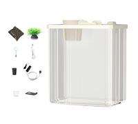 Configuración moderna de acuario - bomba de aire luminosa, bomba de agua de tanque de acrílico | Elegante cuenco para peces domésticos plantas decorativas, iluminación suave, peces betta, escritorio