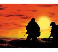 Conflict: Desert Storm II