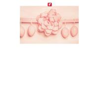 Conflito entre empresas açucareiras, agricultores e meios de subsistência dos agricultores