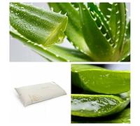 CONFORT HOME M.T. Almohada Visco-elástica Aloe Vera 100% (Mini 42 x 25 Cm (Viaje))
