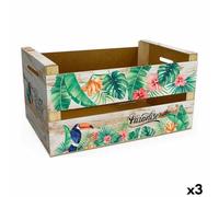 Confortime Caja de Almacenaje Paradise (3 Unidades) (44 x 24,5 x 23 cm)