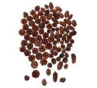 CONGARTENO 120 Piezas Conos de Pino Rústicos Naturales para Manualidades Decoraciones Colgantes y Guirnaldas Navideñas para Bodas Coronas y Adornos Festivos Duraderos