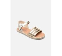 Conguitos MV1 215 84 25 Oro y bronce