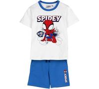 Conjunto 2 Piezas French Terry Spidey