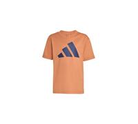Conjunto adidas lk big logo t-set 160 infantil naos/azul oscuro 4 - 5 AÑOS