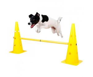 Conjunto Agilidad Cono-Valla