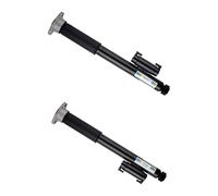 Conjunto amortiguador Eje trasero Presión de gas BILSTEIN para yotros