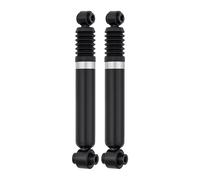 Conjunto Amortiguador Eje Trasero Presión Telescopio KYB para U.a. Peugeot 206