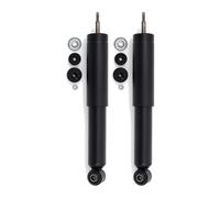 Conjunto amortiguador presión de gas frontal