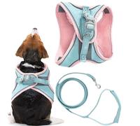 Conjunto arnés y correa para gatito, arnés y correas para gatos - Arnés de gatito de chaleco de gato de servicio, arnés de chaleco para gatos, accesorios para gatito, cachorro, marcha nocturna y de jo