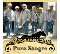Conjunto Azabache - Pura Sangre