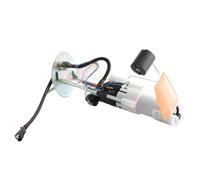 Conjunto Bomba Combustible Compatible Con Polaris Para Sportsman 500EFI 2006 2007; Para 800EFI 2005 2006 2007; Módulo Bomba Combustible Para Coche Conjunto Bomba De Combustible 47-1041 22520437
