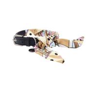Conjunto con collar y correa coordinado para la línea de perros OPERA' AIDA Ferr