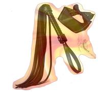 Conjunto de 2 accesorios con látigo ecuestre para actuaciones en fiestas-eshlB1801 (B-Negro)