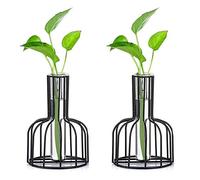 Conjunto De 2 Estación De Propagación De Vidrio con Marco De Metal, Florero Negro, Florero De Tubo De Ensayo para Plantas Hidropónicas, Florero Pequeño para La