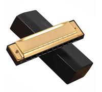 Conjunto De Armónica Armónica De Blues De 10 Agujeros En Tono C Para Principiantes Y Adultos Autoaprendizaje Introducción Al Blues De 10 Agujeros(Gold)