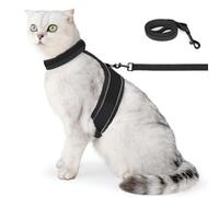 Conjunto de arnés para correa de gatito, chaleco para gato con reflexión nocturna, chaleco de gatito transpirable para gatito de tamaño pequeño mediano grande