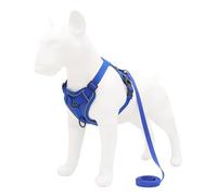 Conjunto de arnés y Correa, Accesorios for Mascotas, arnés for Perros pequeños, Bulldog, Pug, Pitbull, Collar Pectoral for Cachorros (Color : Blue, Size : XL)