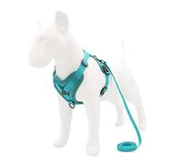 Conjunto de arnés y Correa, Accesorios for Mascotas, arnés for Perros pequeños, Bulldog, Pug, Pitbull, Collar Pectoral for Cachorros (Color : Green, Size : M)