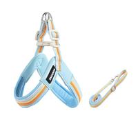 Conjunto de arnés y Correa en Forma de Y para Basenji, arnés antitirones Ligero de 1,4 m, Acolchado Suave Blue M