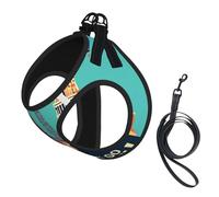 Conjunto de arnés y Correa Let's Go Travel Print para Perros, Chaleco Reflectante Ajustable con Cierre fácil para Perros y Gatos pequeños y medianos.