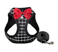 Conjunto de arnés y Correa para Gato con Ancla de Moda, Chaleco con Correa Ajustable para el Pecho con Correa para Caminar con Lazo y Cinta de Campana (Cuadros Negros XXS)