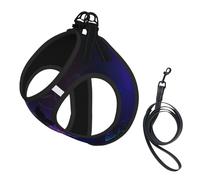 Conjunto de arnés y correa para perro con estampado de mariposas nocturnas, chaleco reflectante ajustable para cachorros para perros pequeños, medianos y grandes y gatos