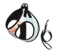 Conjunto de arnés y Correa para Perros Aqua Blue Vintage con Papá Noel guiñando un Ojo, sin tirones. Chaleco Reflectante Ajustable para Perros pequeños. Arnés Transpirable de Malla para Cachorros,