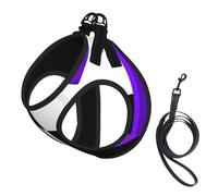 Conjunto de arnés y Correa para Perros B&W Purple Hearts Beating No Pull, Chaleco Reflectante Ajustable para Perros pequeños, arnés de Malla Transpirable para Cachorros, Ideal para Paseos y senderism