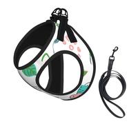 Conjunto de arnés y Correa para Perros con diseño de Dinosaurio antitirones. Chaleco Reflectante Ajustable para Perros pequeños. Arnés de Malla Transpirable para Cachorros, Ideal para pasear y Hace