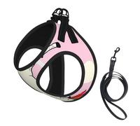 Conjunto de arnés y Correa para Perros con Estampado de Unicornio para Yoga aéreo, Chaleco Reflectante Ajustable para Perros y Gatos pequeños y medianos.